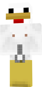 tavuk
