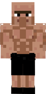 koylu