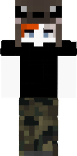 sasas