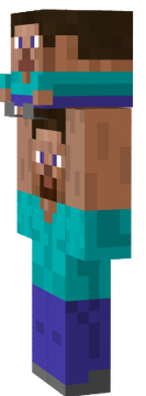 steve