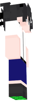 Dansi_skin1