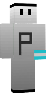 Pingocho31
