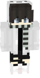 mineskin