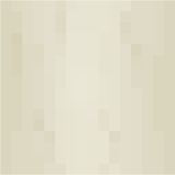 bone_side