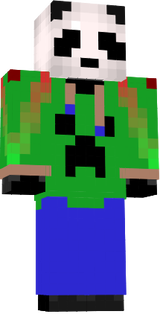 BamBusz