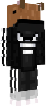 skin