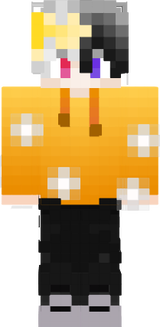 toz v1