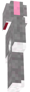 vsdg