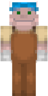 skin