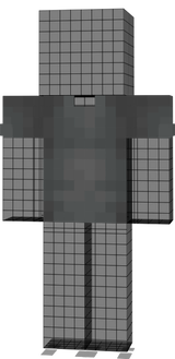 Gray Shirt