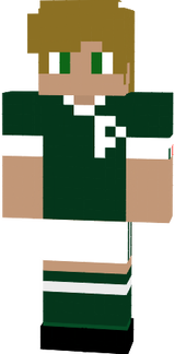 Palmeiras