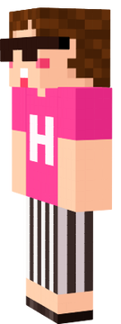 hikakin skin
