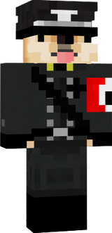 SS DOGE