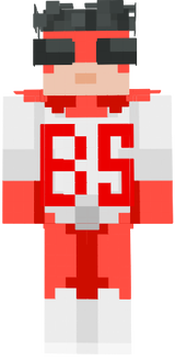 bssig