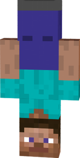 reverso steve