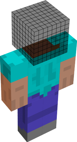 Preview of texture: no hed steve