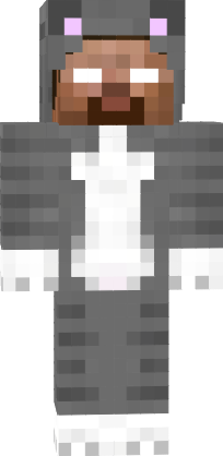 Preview of texture: herobrine