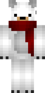 minecraft skin 2