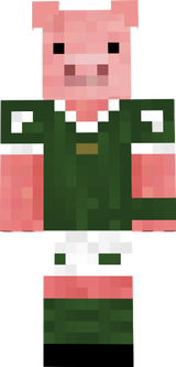 Porco17