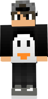 ping 2