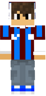 ts skin