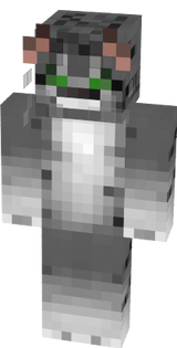 Kedi