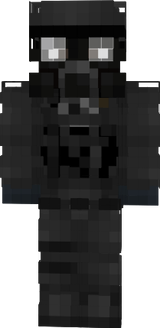 Soldat des Reiches