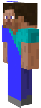 mein steve