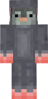 Rat 
