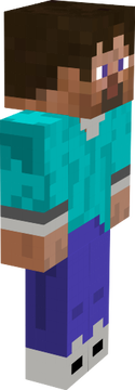 steve