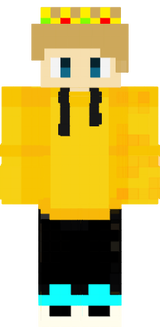 _projestem1713
