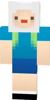 FIN