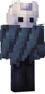 Hollow knight skin ghost