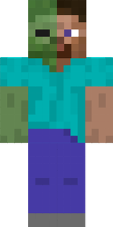 sir_fly