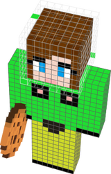 STEVETTE