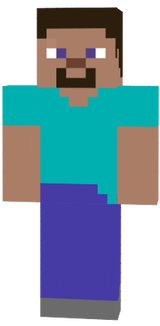Steve Clean