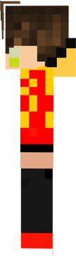 skin
