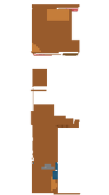 Dog Big Nature Cat