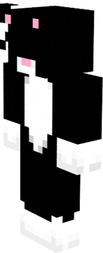 skin for me