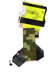 Übergangs skin
