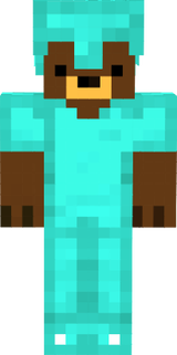 bear armor