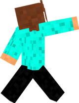 Skini