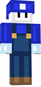 dsfe