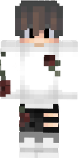 Skin Obii123