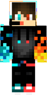 skin