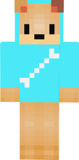 PoineMC