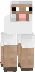 sheep