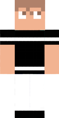 Preview of texture: piage minecraft