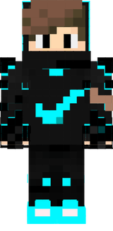 Rafael skin