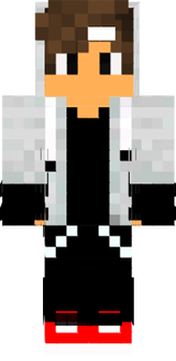 mc skin
